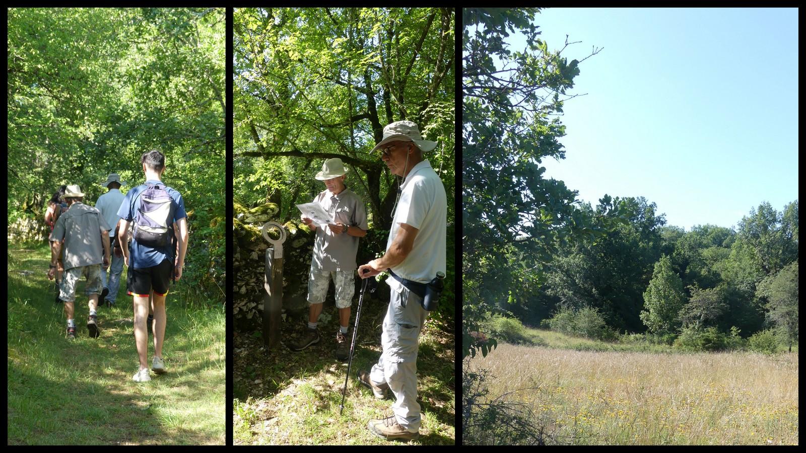 11 juillet 21 fontanes du causse1