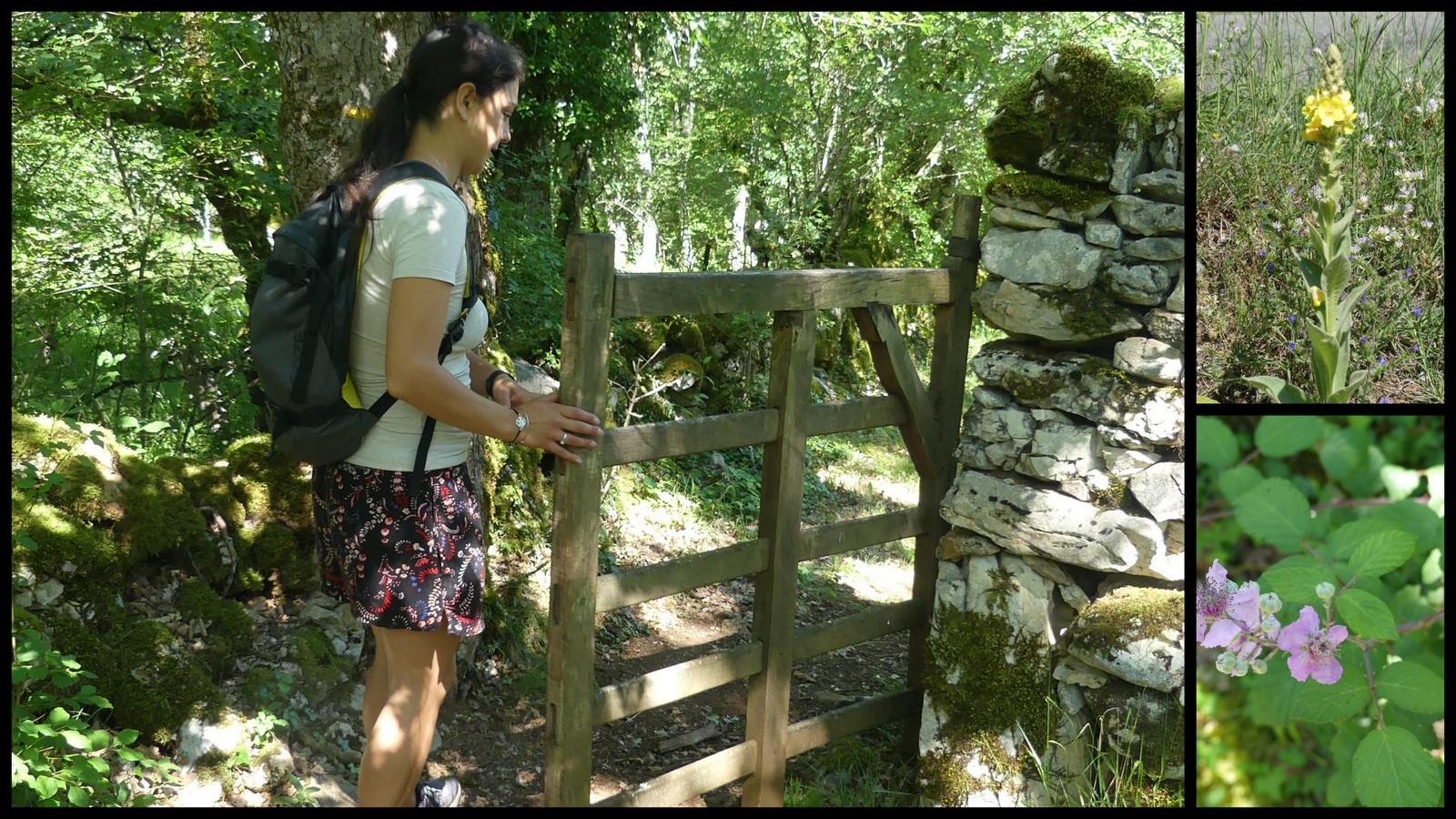 11 juillet 21 fontanes du causse10
