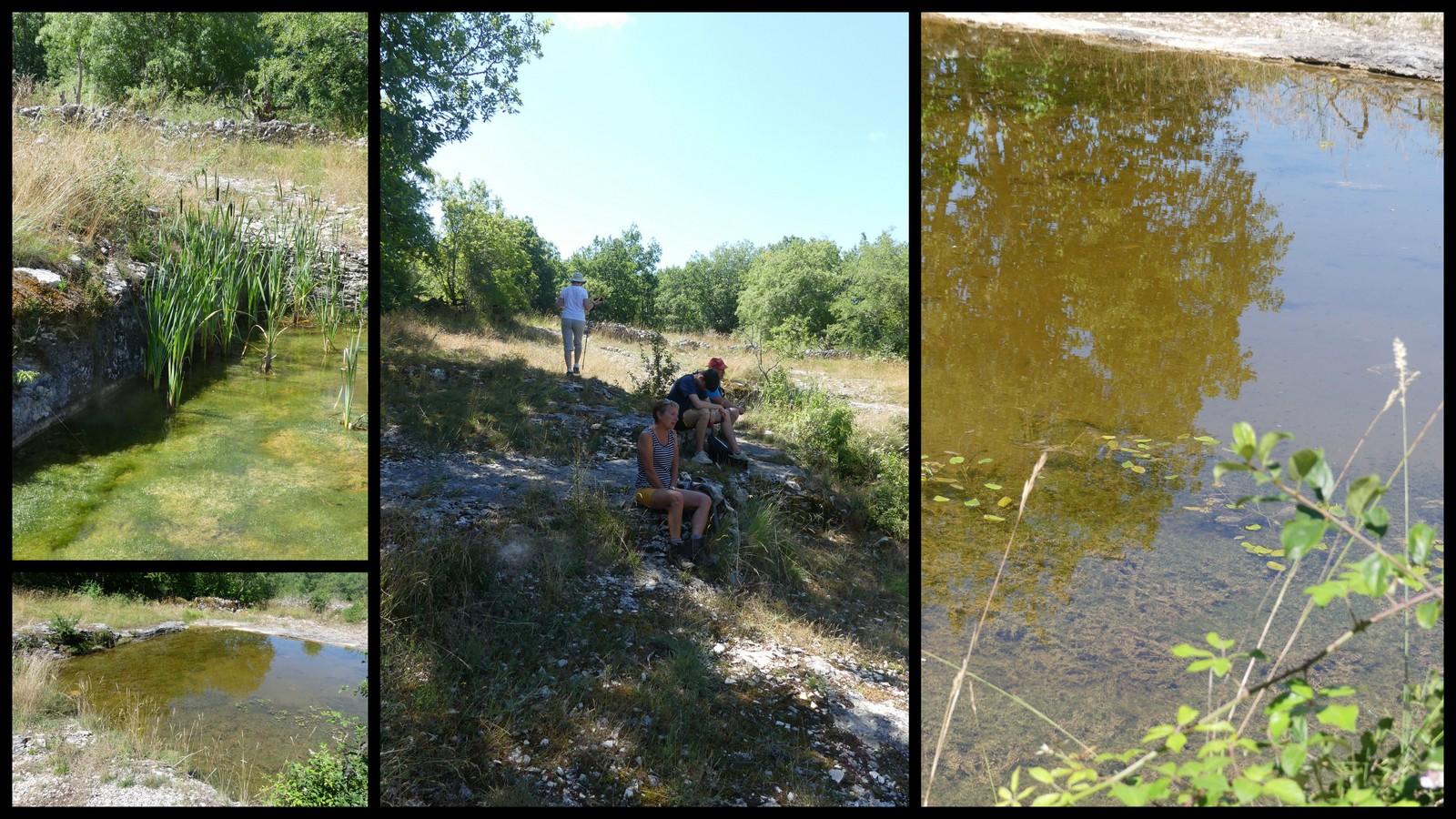 11 juillet 21 fontanes du causse12