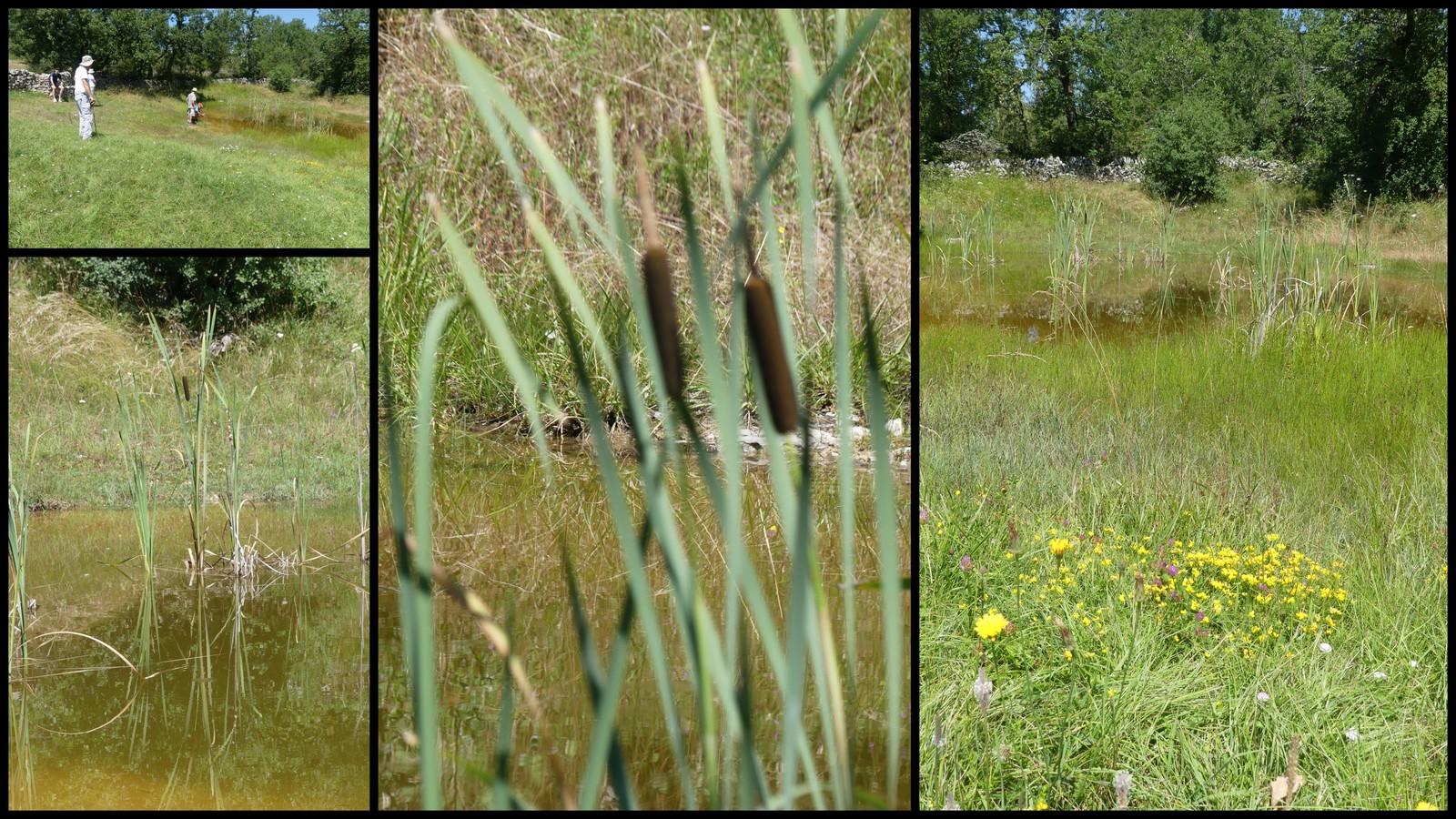 11 juillet 21 fontanes du causse16