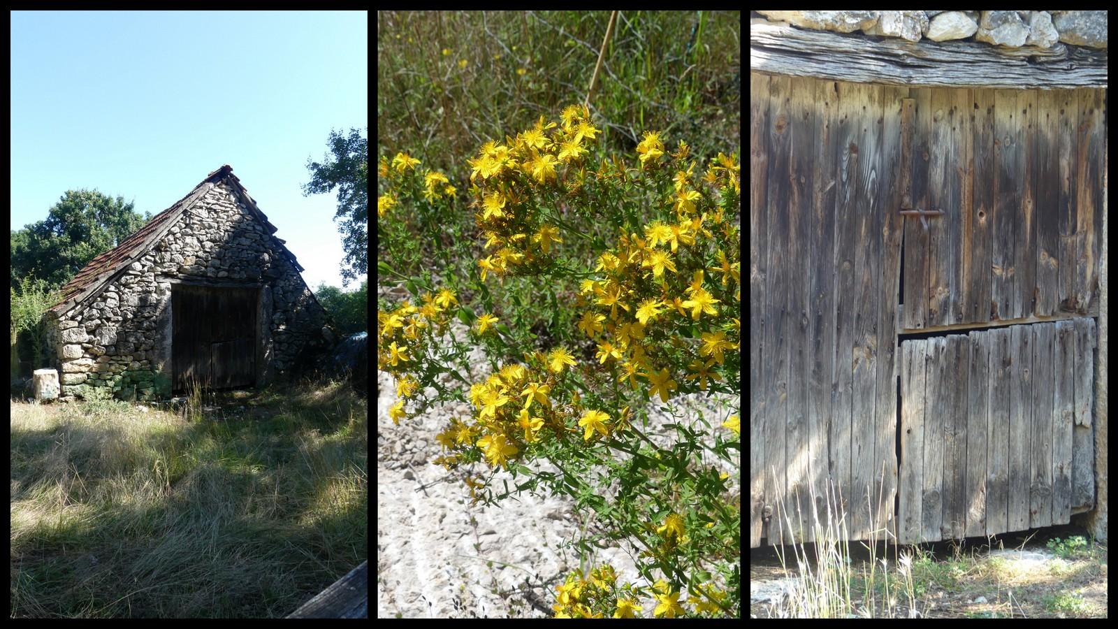 11 juillet 21 fontanes du causse6
