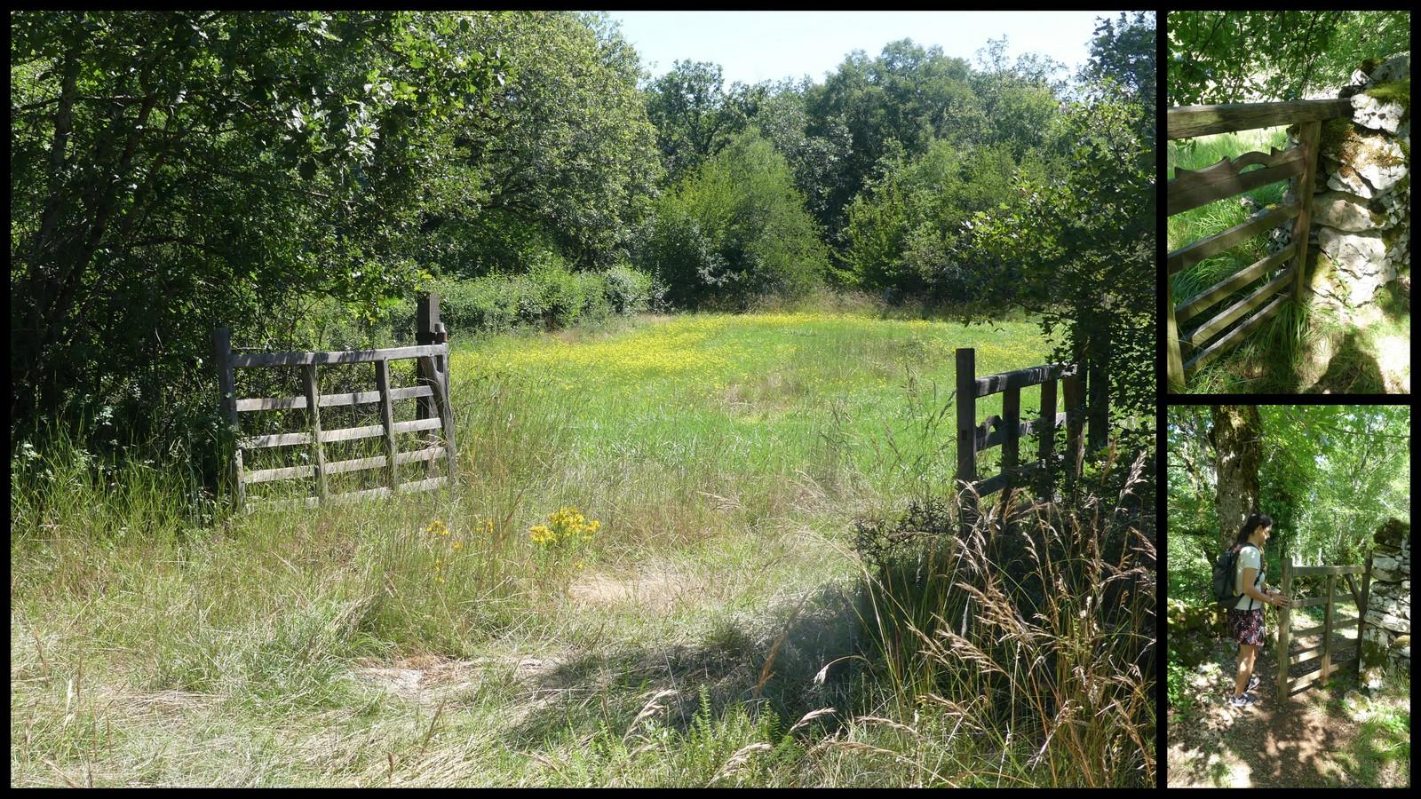 11 juillet 21 fontanes du causse9