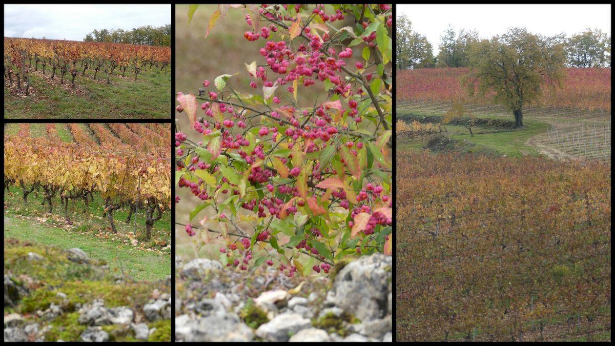 14 nov 21 cournou13 resultat