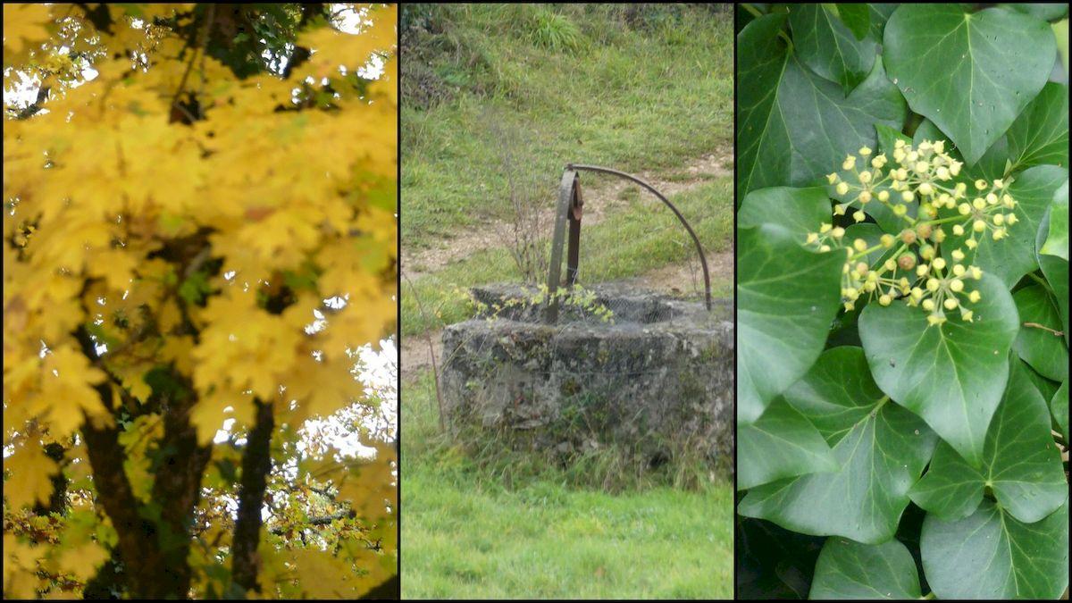 14 nov 21 cournou14 resultat