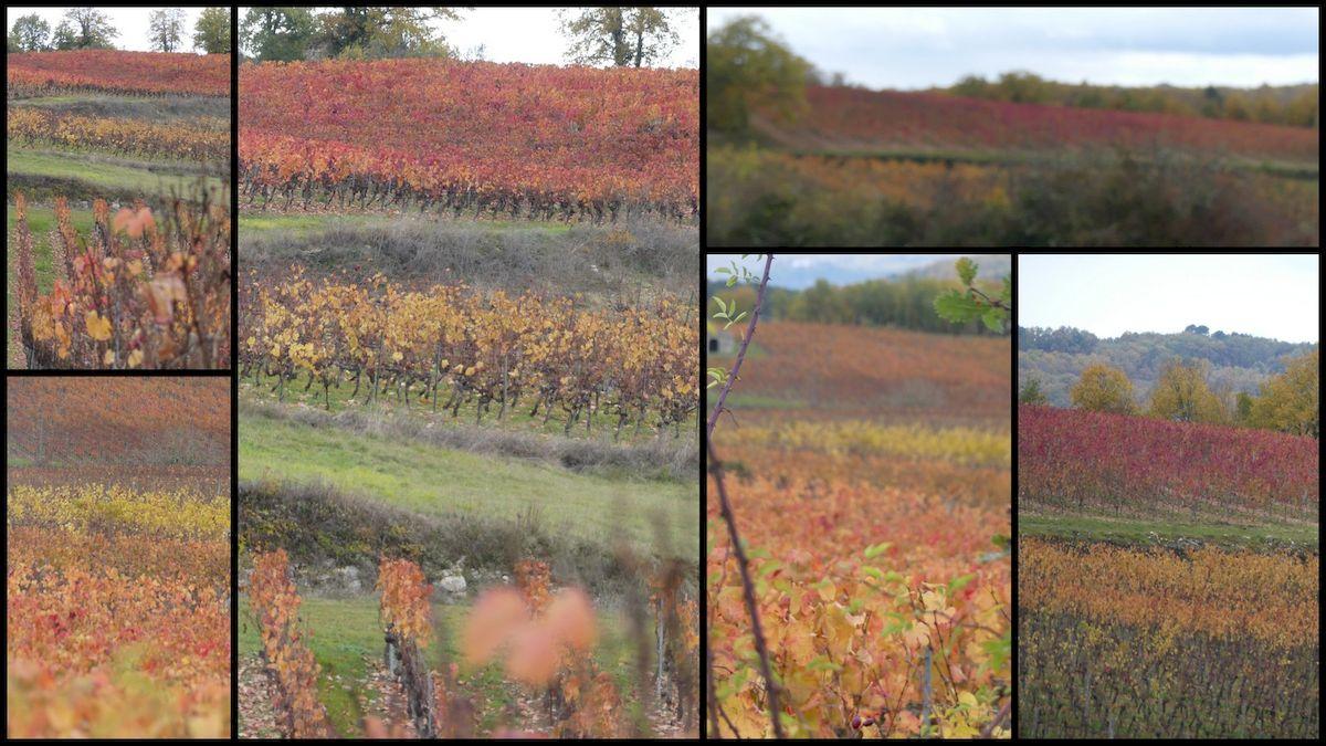 14 nov 21 cournou15 resultat