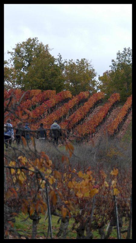 14 nov 21 cournou16 resultat