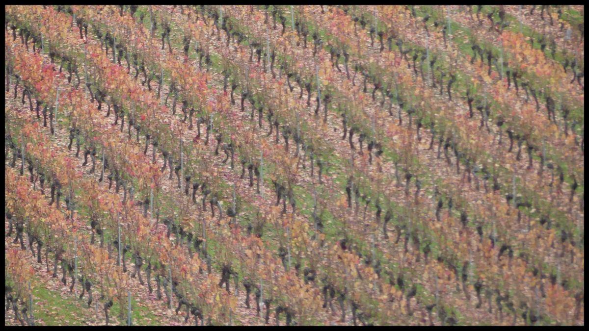 14 nov 21 cournou18 resultat