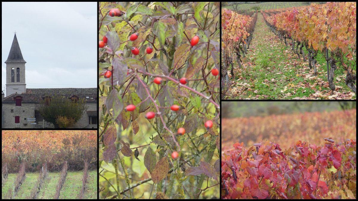 14 nov 21 cournou19 resultat