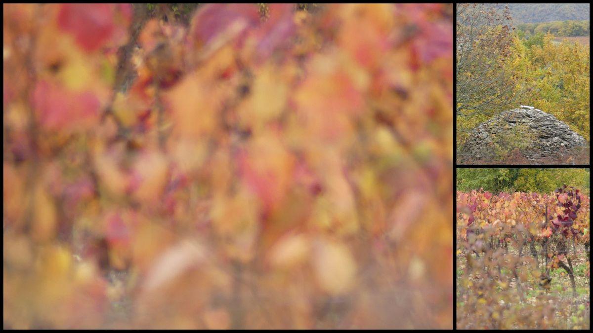 14 nov 21 cournou2 resultat