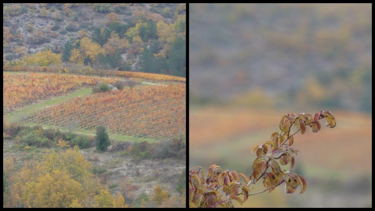 14 nov 21 cournou3 resultat