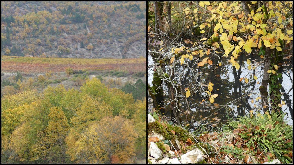 14 nov 21 cournou4 resultat