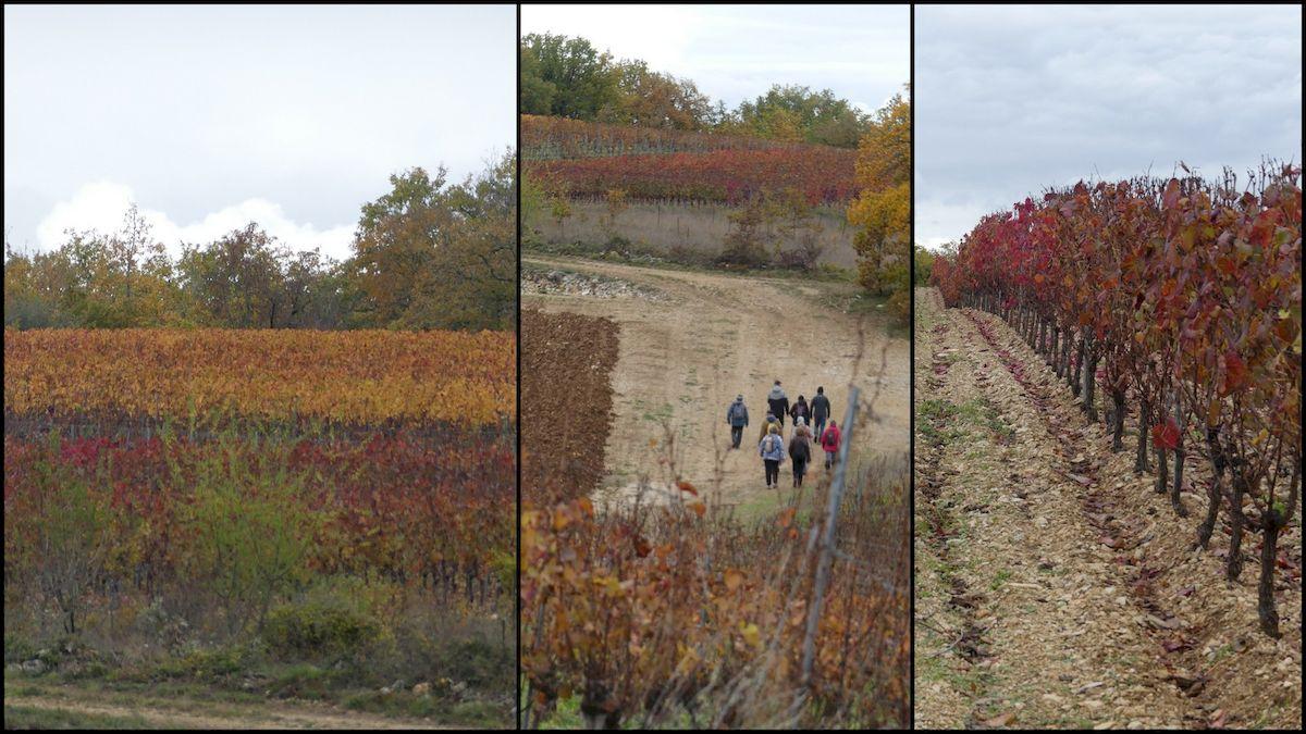 14 nov 21 cournou5 resultat