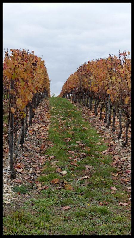 14 nov 21 cournou6 resultat