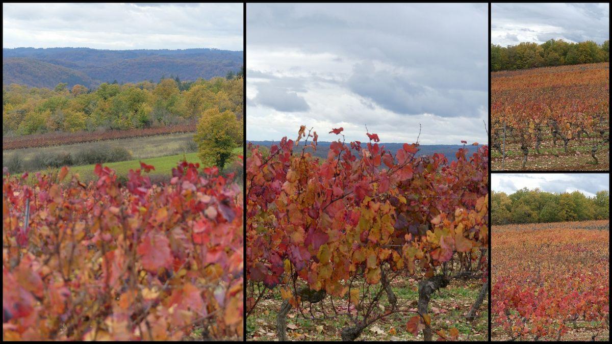 14 nov 21 cournou8 resultat