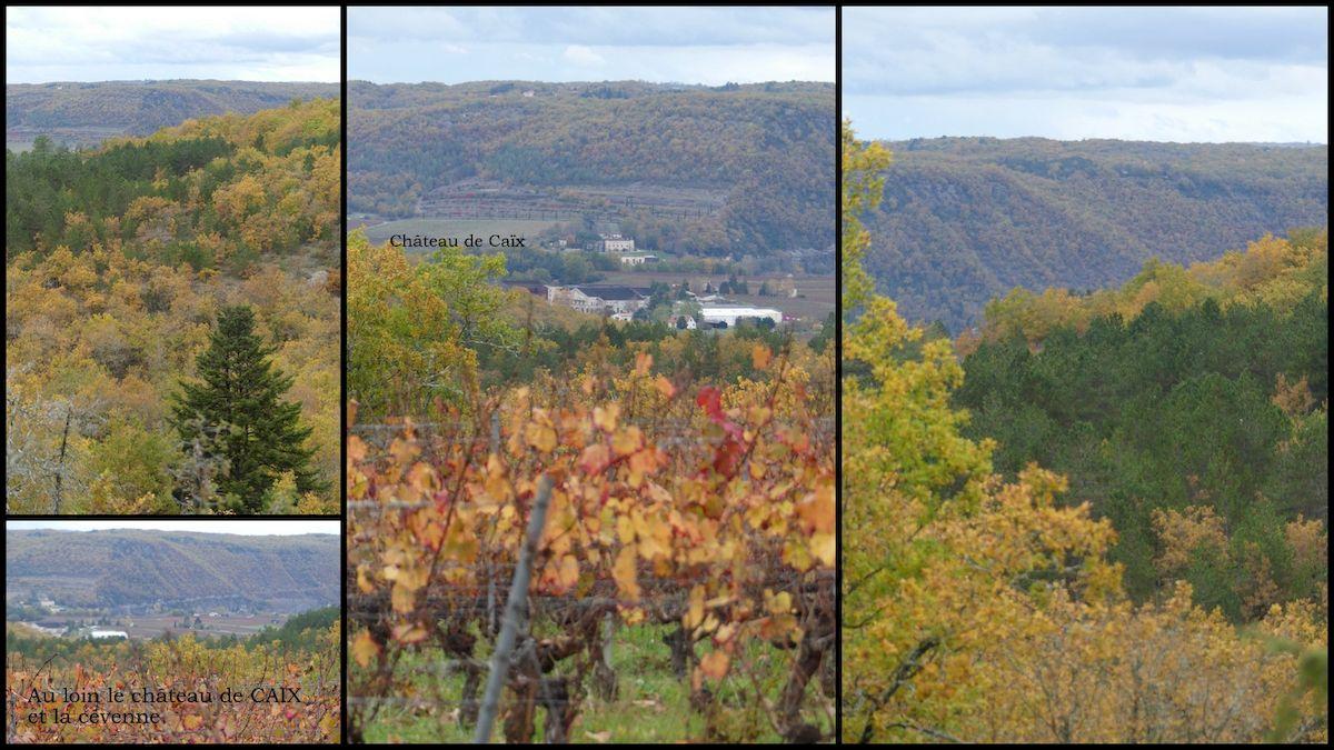 14 nov 21 cournou9 resultat