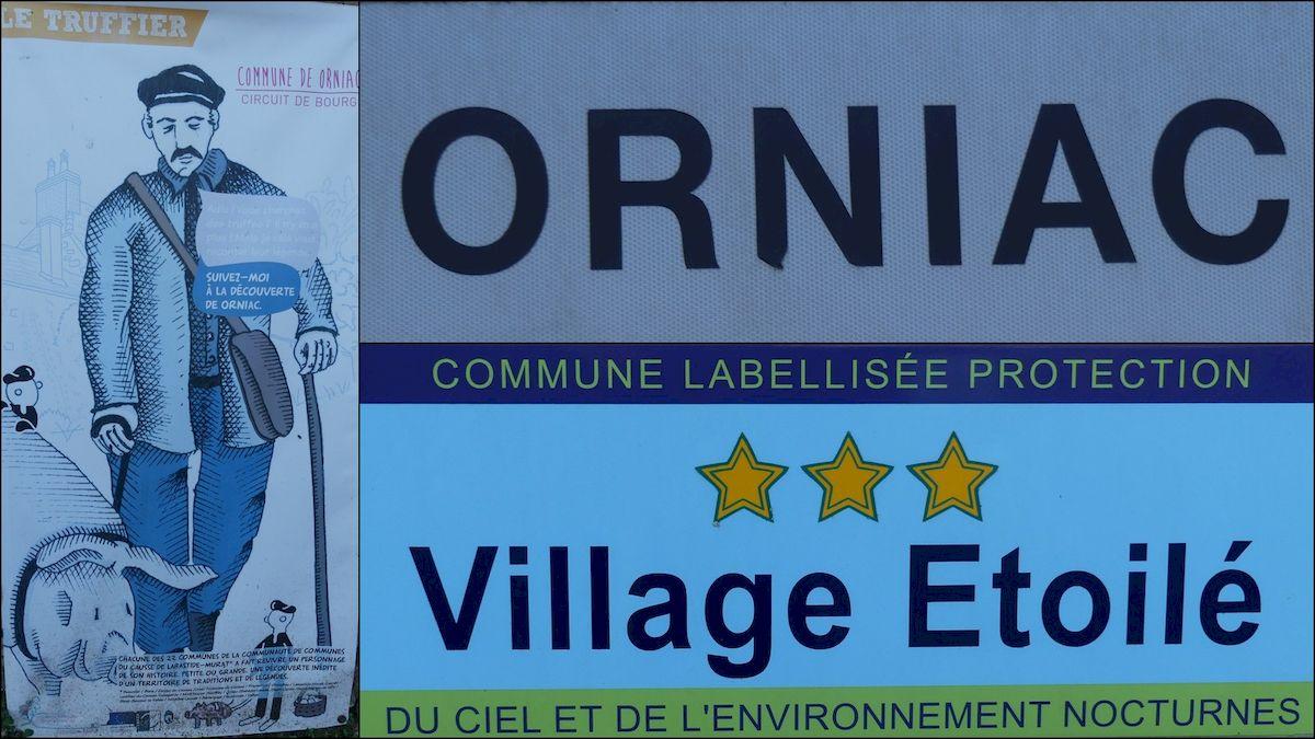 16 janvier 21 rando orniac resultat