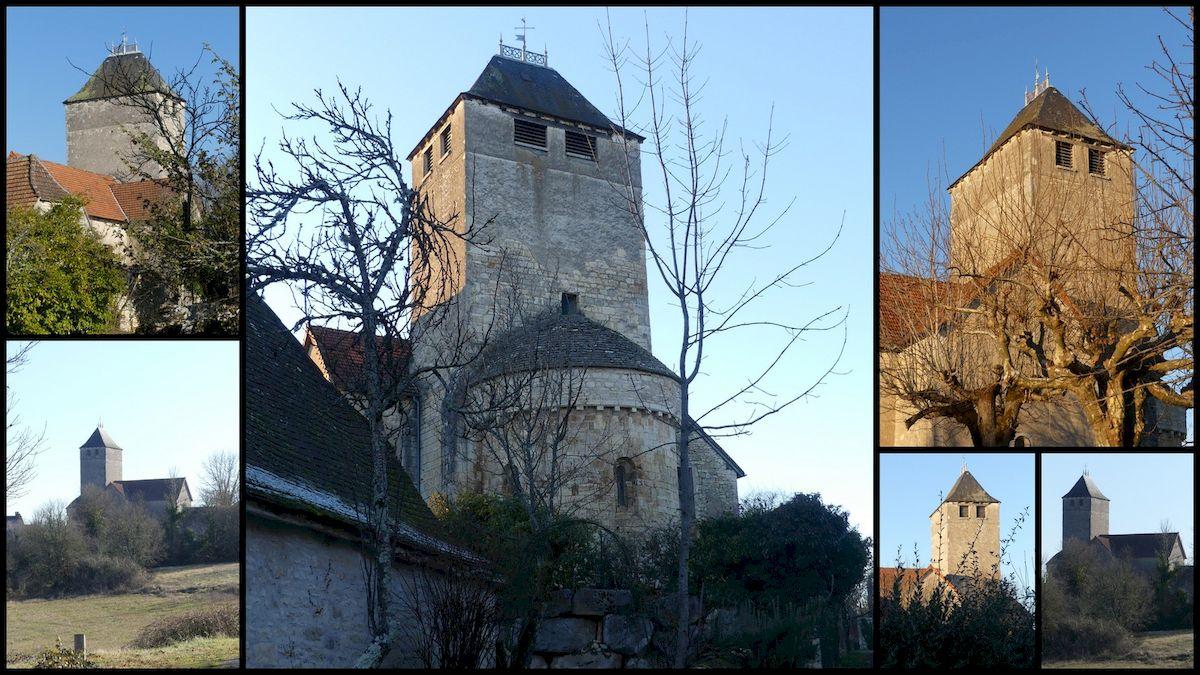 16 janvier 21 rando orniac1 resultat