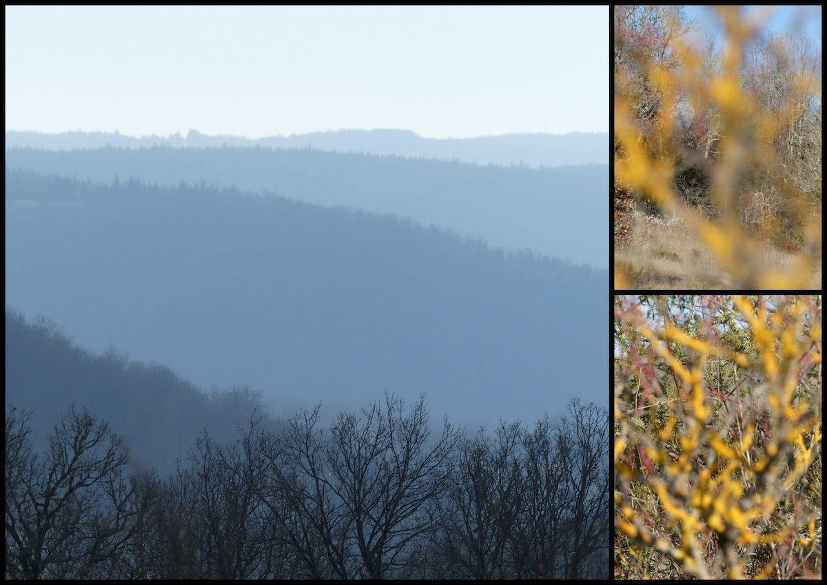 16 janvier 21 rando orniac10 resultat