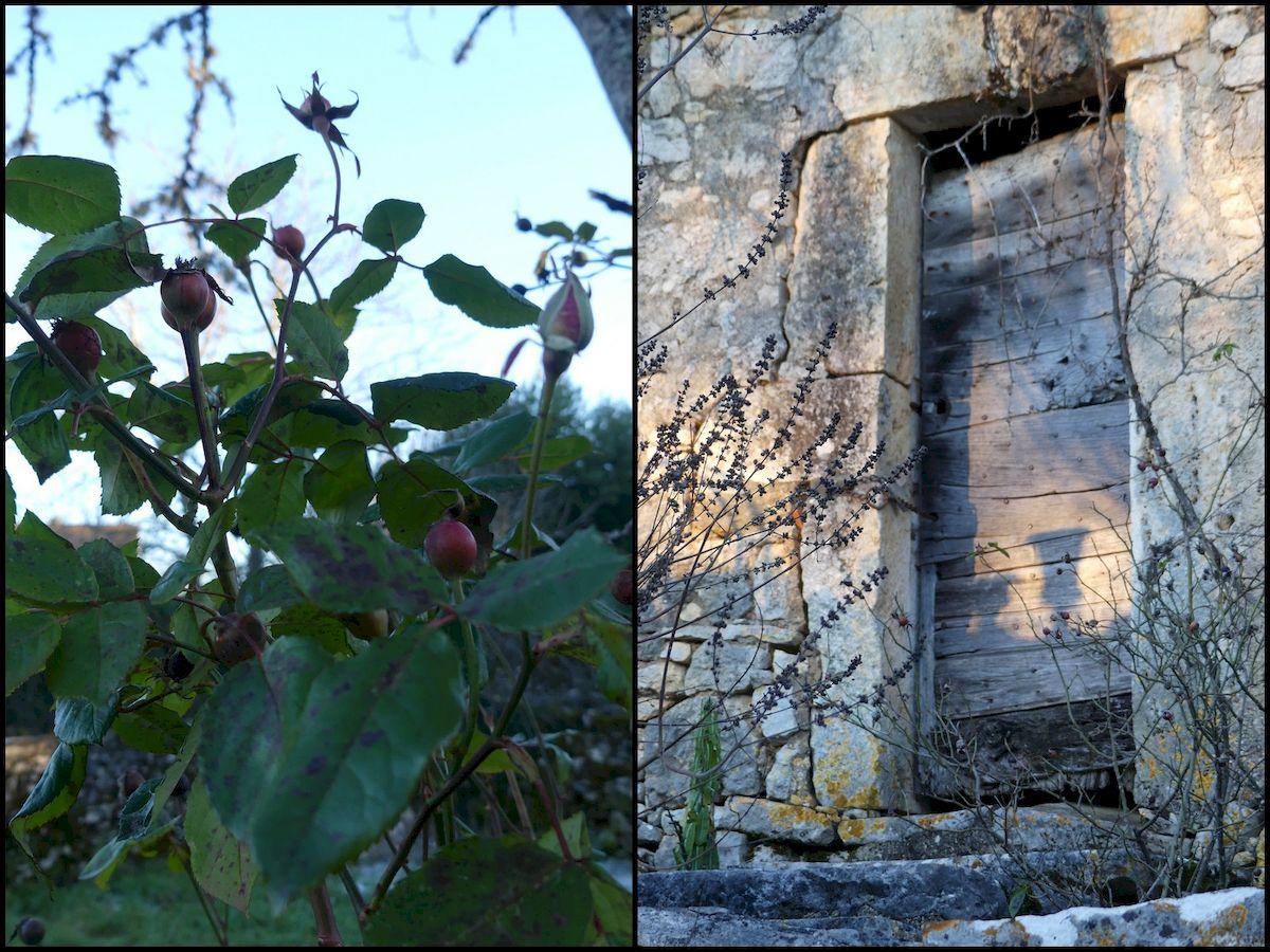 16 janvier 21 rando orniac25 resultat