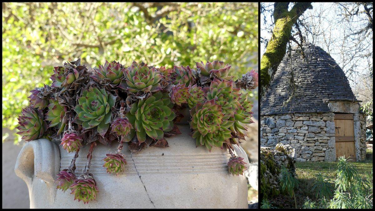 16 janvier 21 rando orniac3 resultat