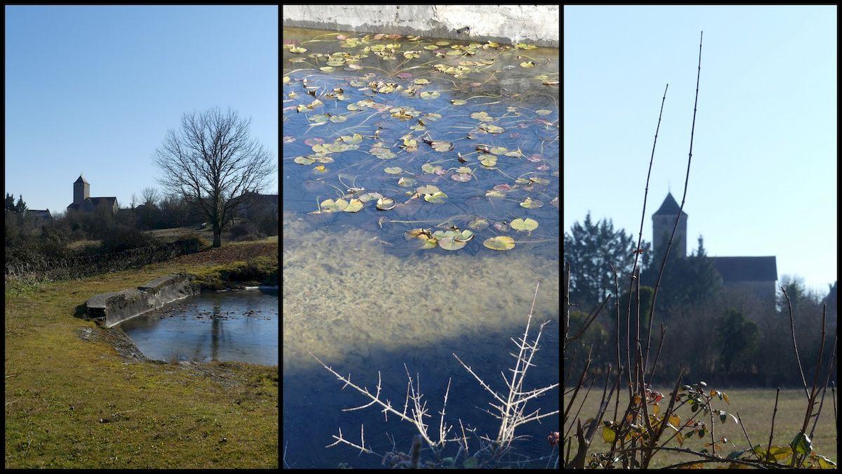 16 janvier 21 rando orniac4 resultat