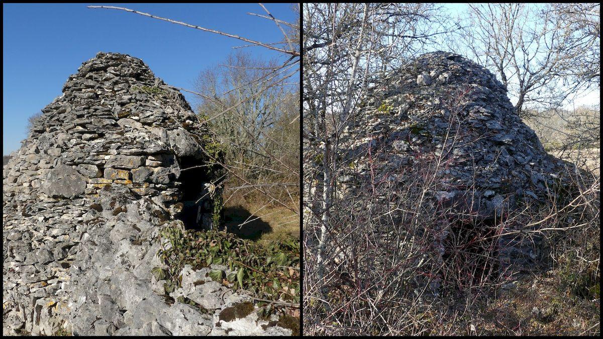 16 janvier 21 rando orniac6 resultat