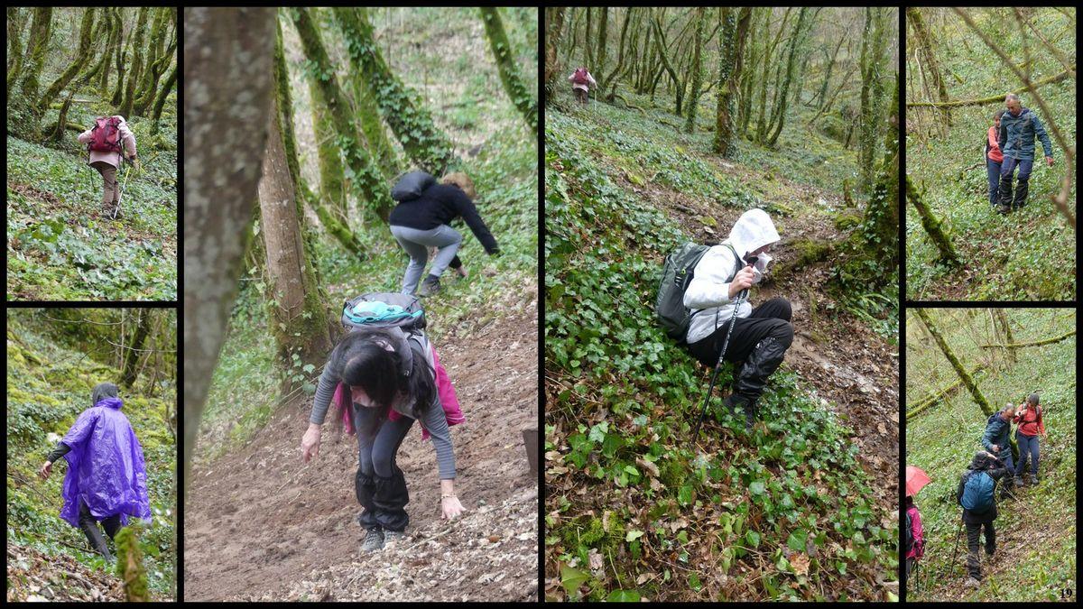 19 mars 2023 rando le moulin du saut18 resultat