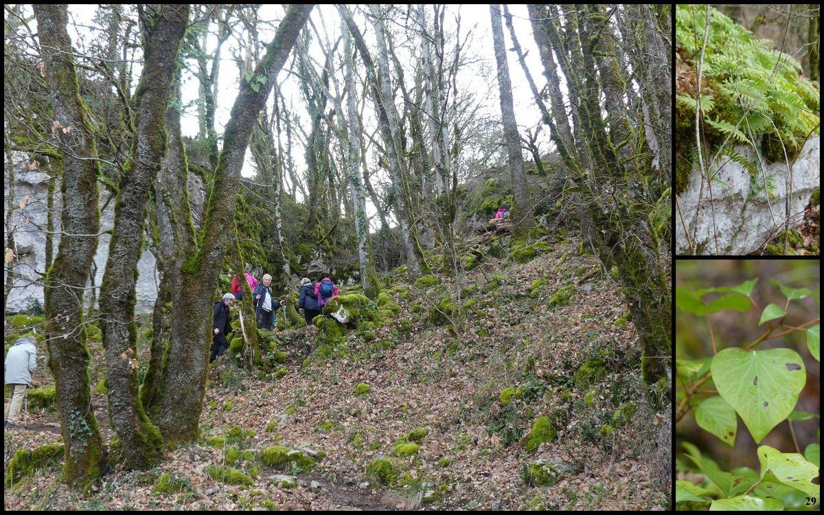 19 mars 2023 rando le moulin du saut28 resultat