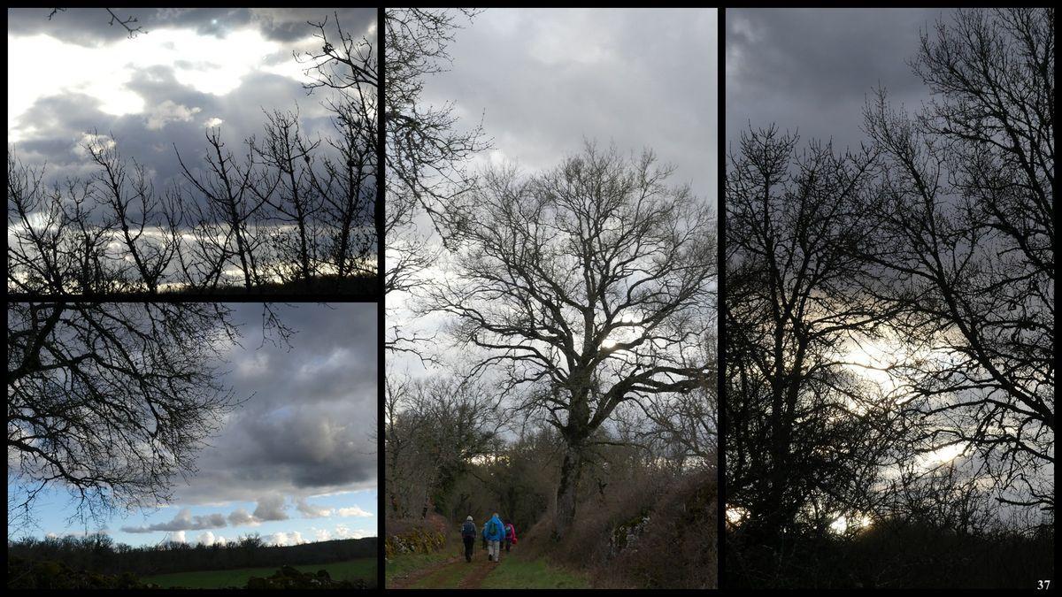 19 mars 2023 rando le moulin du saut36 resultat