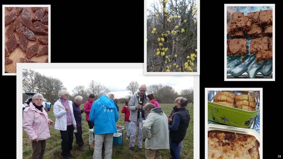 19 mars 2023 rando le moulin du saut37 resultat