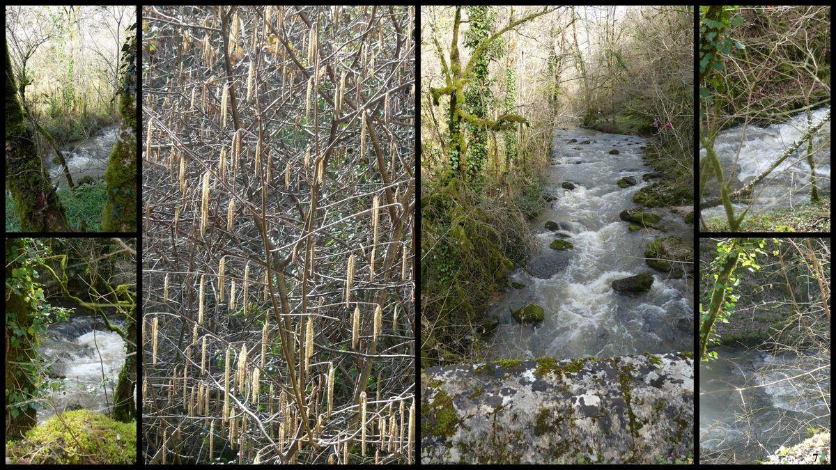 19 mars 2023 rando le moulin du saut6 resultat