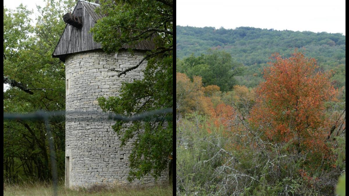 20 oct 2019 rando montgesty