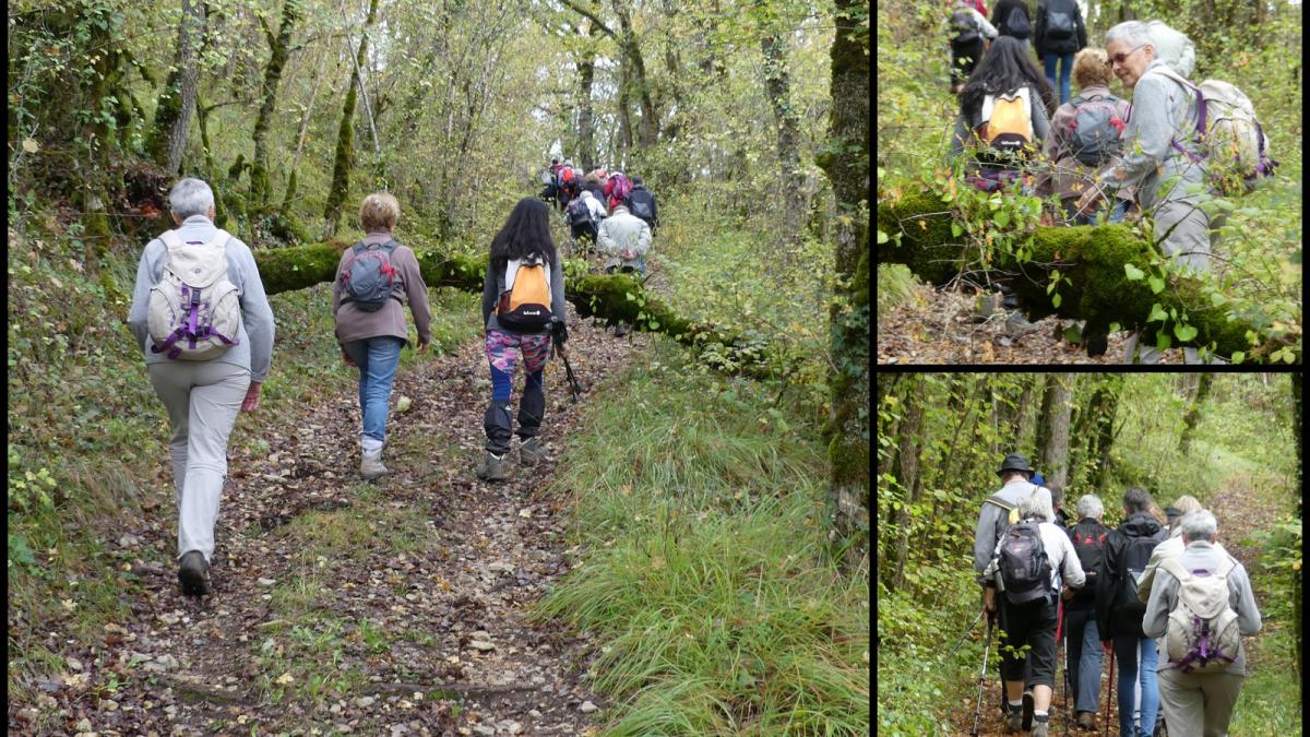 20 oct 2019 rando montgesty13