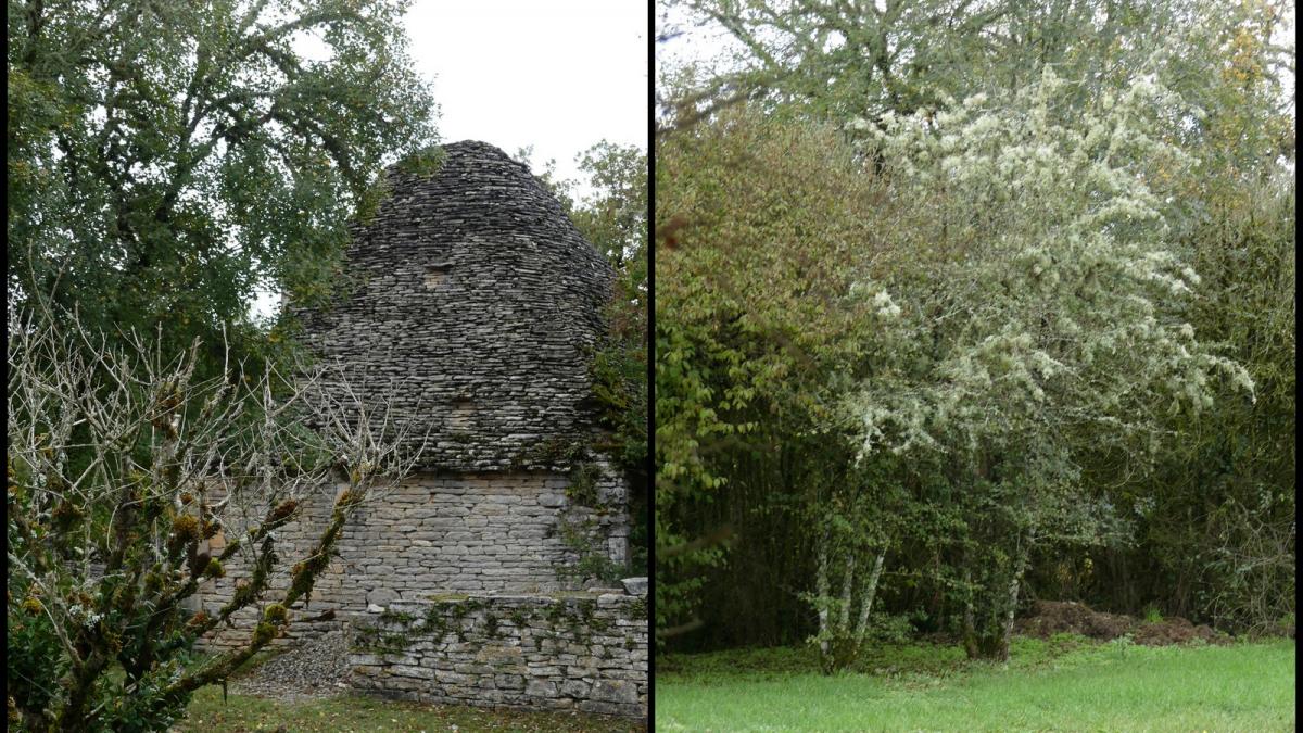 20 oct 2019 rando montgesty5
