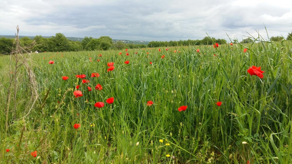 20190519 152209 resultat