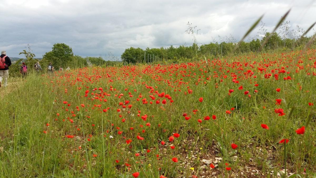 20190519 152501 resultat