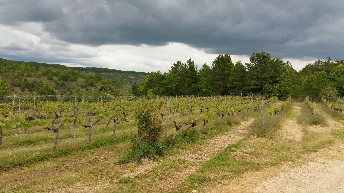 20190519 152757 resultat