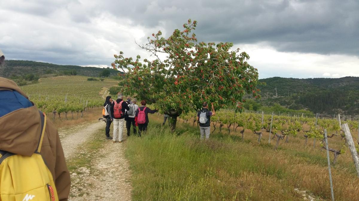 20190519 153450 resultat