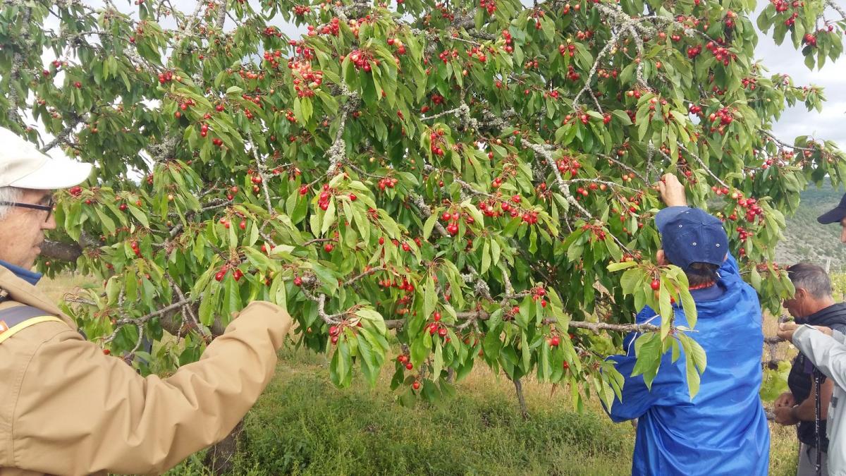 20190519 153510 resultat