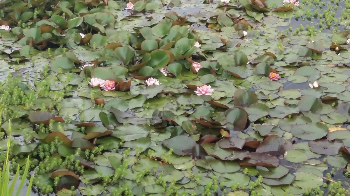 20190519 154417 resultat