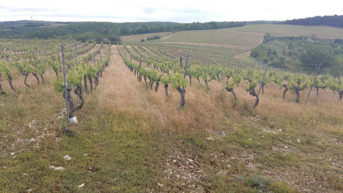 20190519 154634 resultat