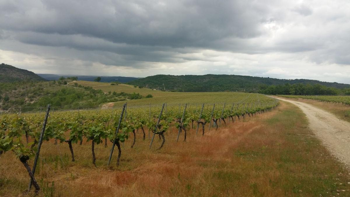 20190519 155702 resultat