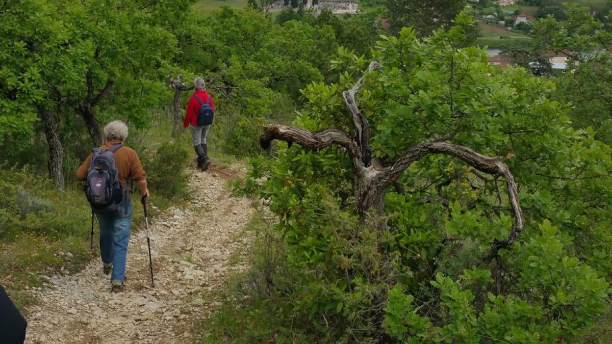 20190519 172539 resultat