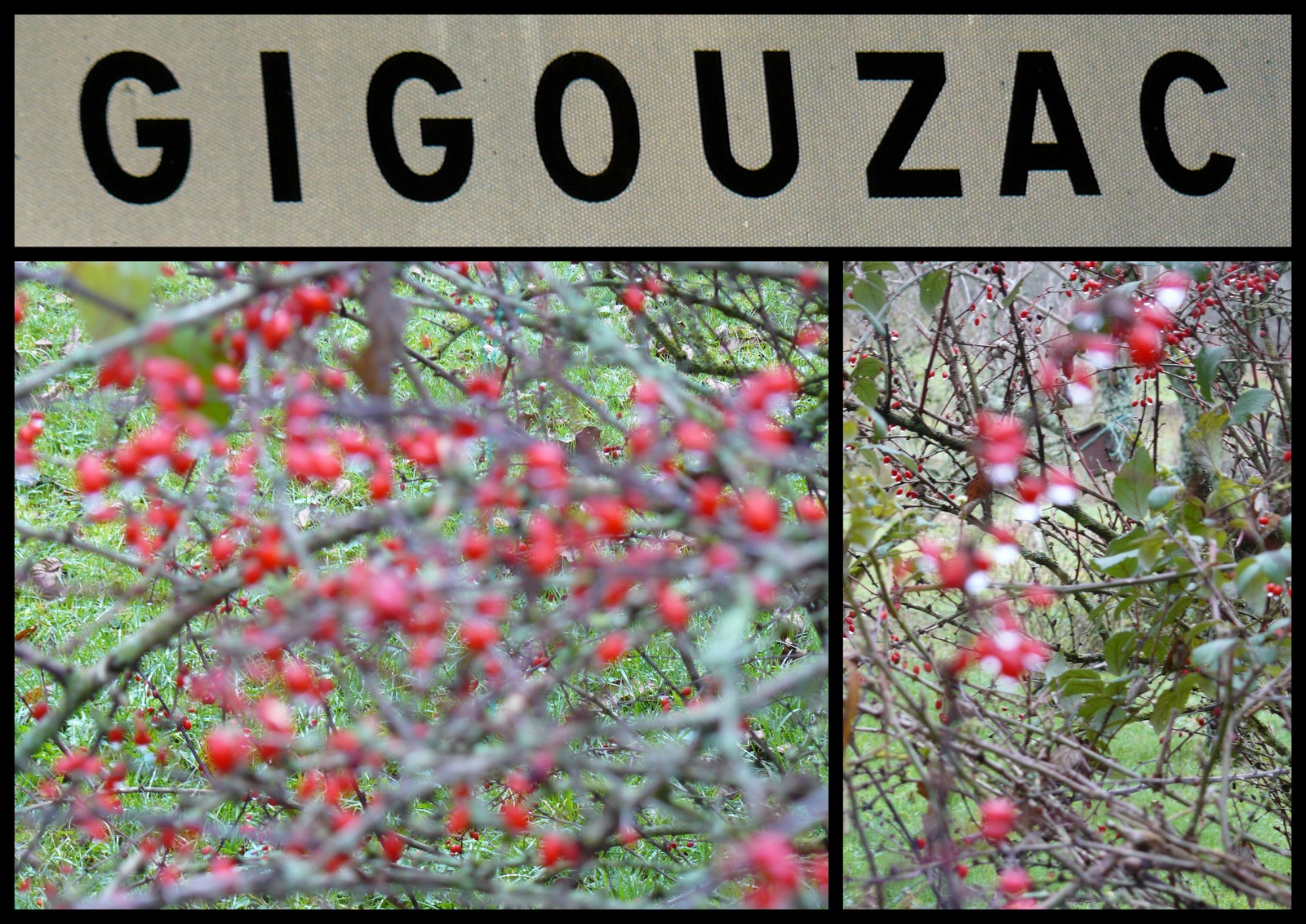 23 dec 2018 gigouzac