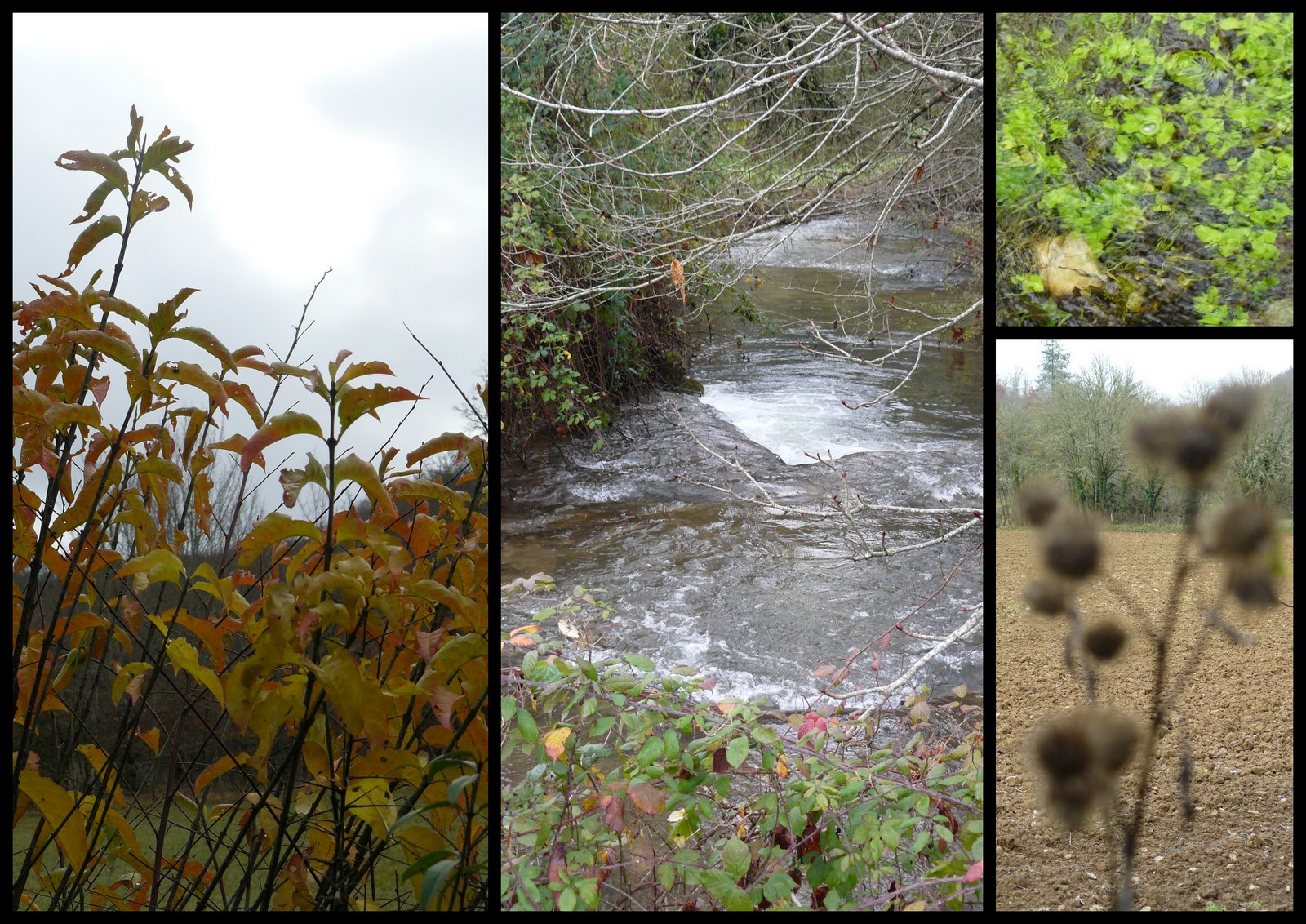 23 dec 2018 gigouzac3