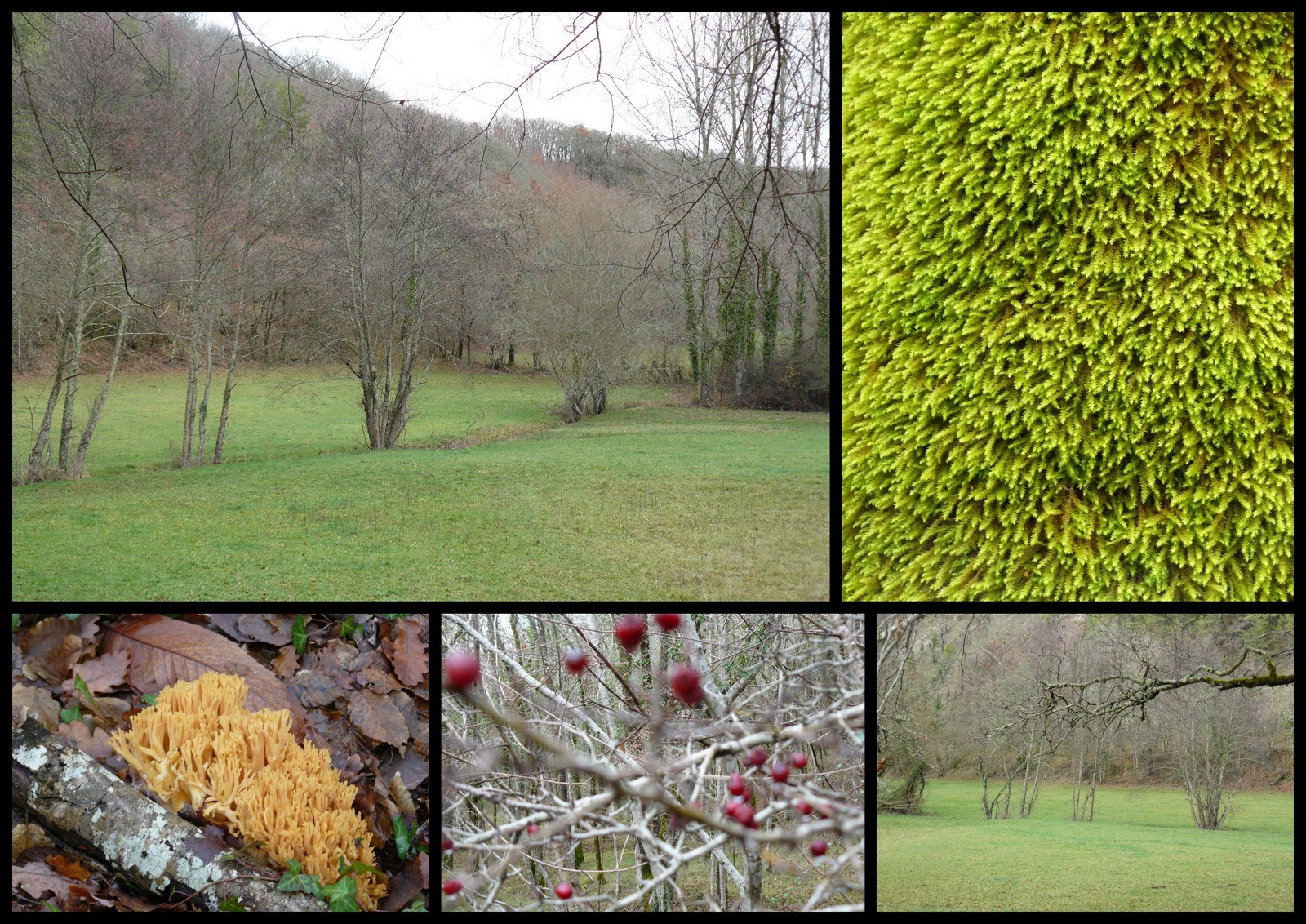 23 dec 2018 gigouzac4