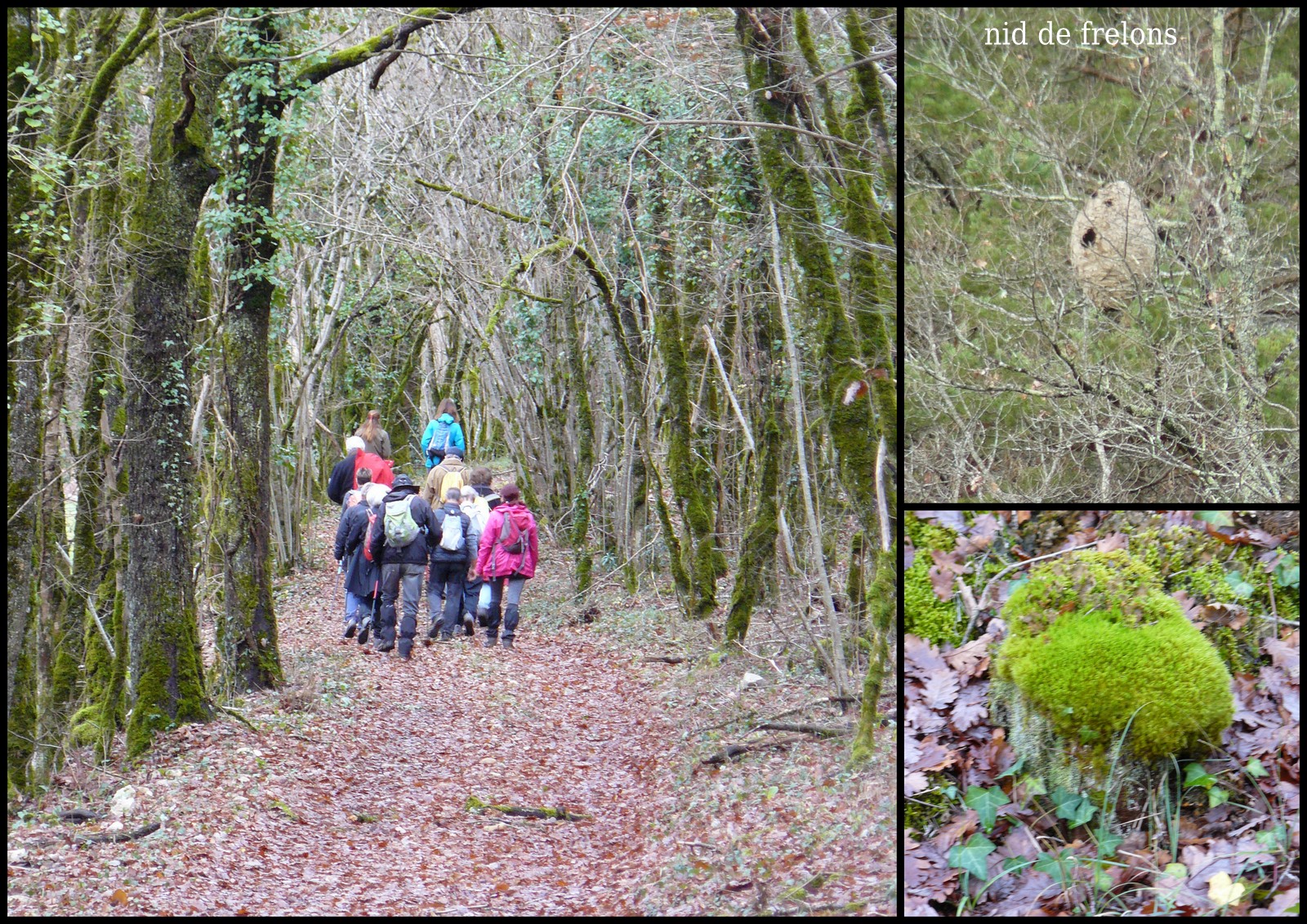 23 dec 2018 gigouzac6