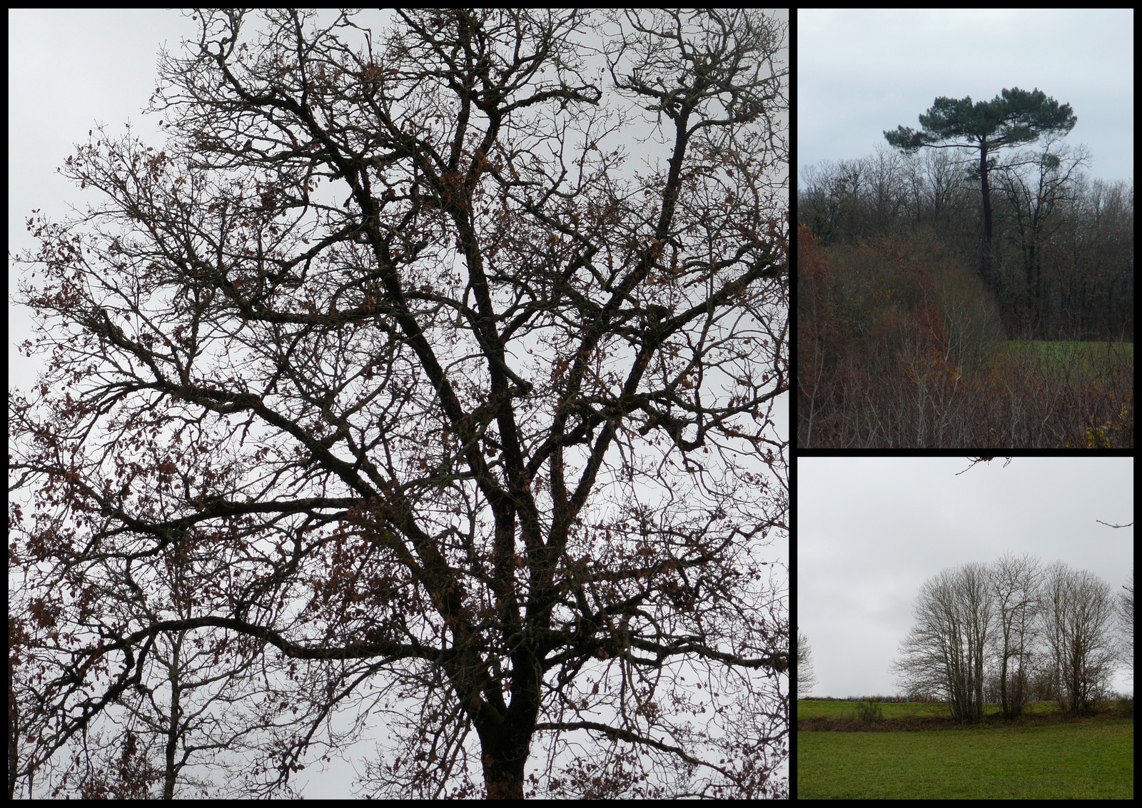 23 dec 2018 gigouzac8