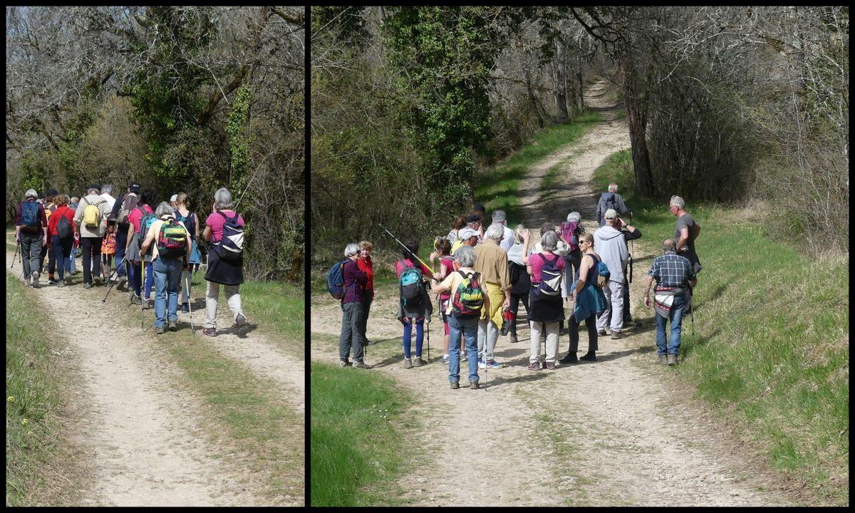27 mars 2022 rando netto combe du paysan resultat