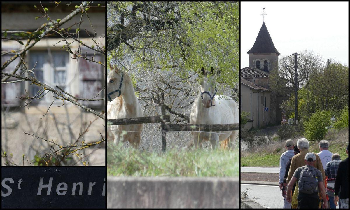 27 mars 2022 rando netto combe du paysan10 resultat